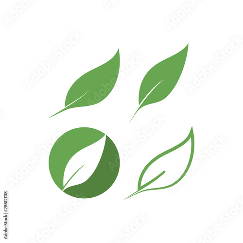 Leaf graphic design template vector isolated illustration