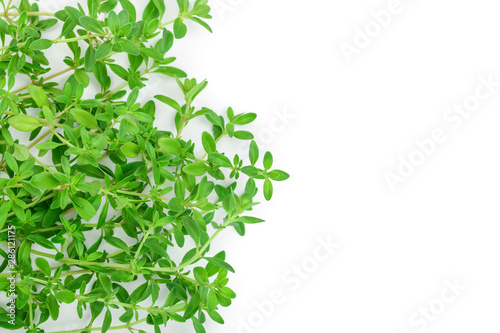 Fresh thyme spice isolated on white background. Copy space for your text.