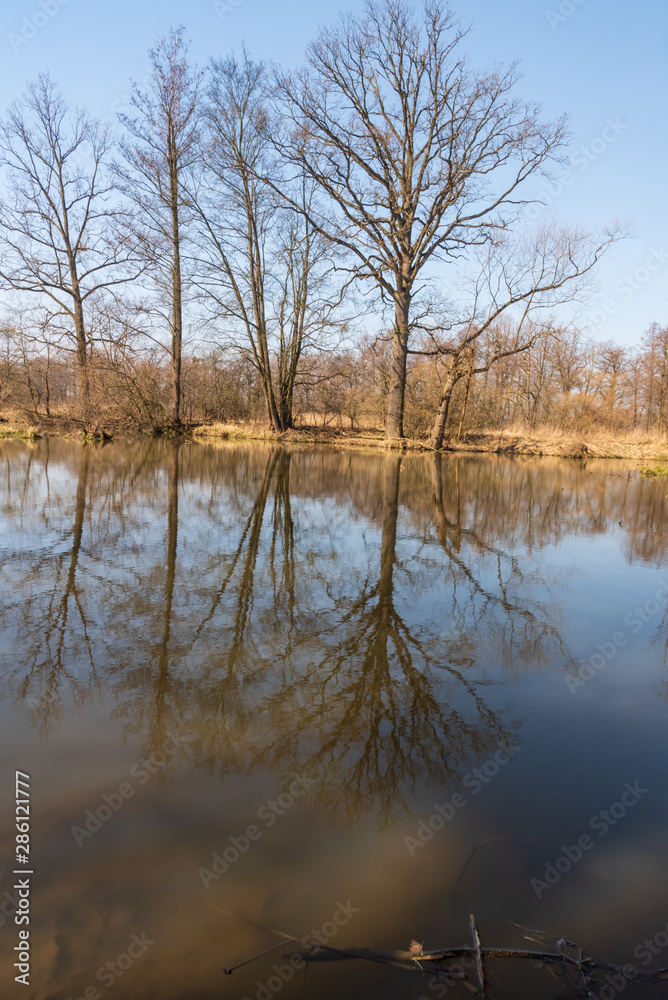 Slanaky oxbow lake in early spring CHKO Poodri in Czech republic