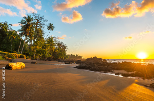 Tropical sunset along the Pacific Coast of Costa Rica with palm tree silhouettes inside Corcovado National Park in the Osa Peninsula, Central America. photo