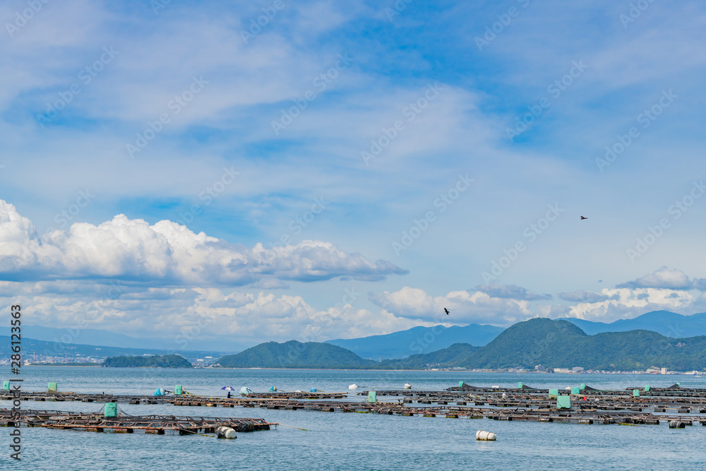 静岡県沼津市内浦の海