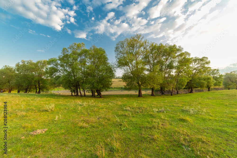Blue sky, clouds, big trees and green grass. Blue sky, clouds, big trees and green grass.
