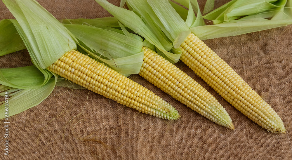 Purified corn cobs lying on the sacking.