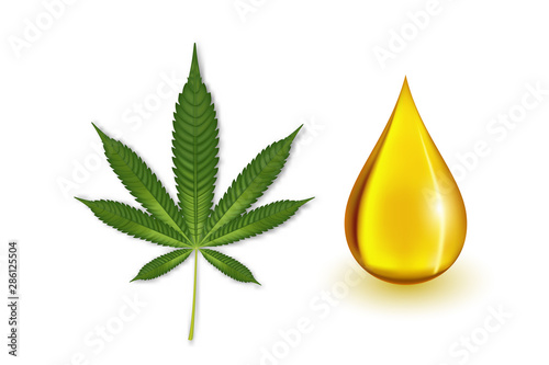 Marijuana leaf or cannabis oil drop isolated on white background. vector illustration.