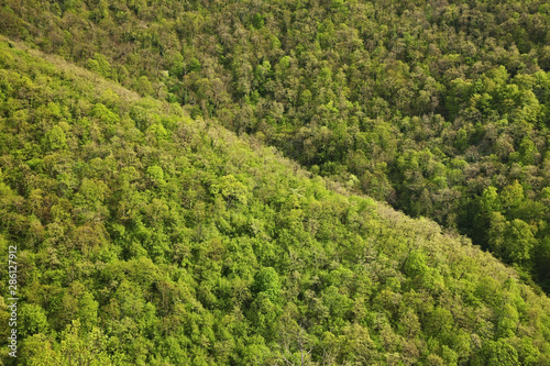 Landscape near Vozrozhdenie village and Gelendzhik town. Krasnodar Krai. Russia photo