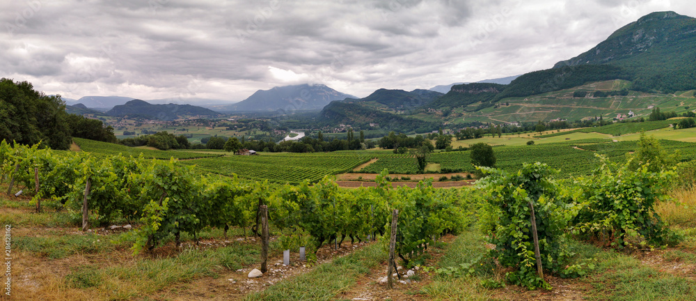 Vignoble de Savoie, paysage depuis la Chapelle de Saint Romain à Jongieux