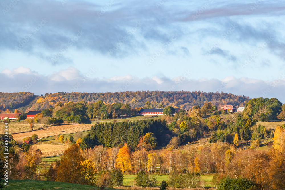 Obraz premium Rural landscape view at autumn