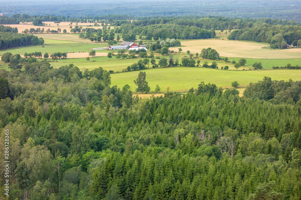 View of a landscape with forests and fields