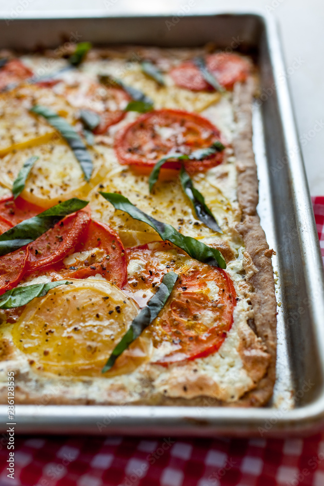Close up of pizza margherita in baking tray Close up of pizza margherita in baking tray