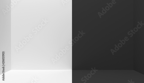 Fototapeta Naklejka Na Ścianę i Meble -  Black and white  interior divided in half into two parts in the middle. Empty blank room with copy space.  One half is white, the other half is black. 3D rendering.