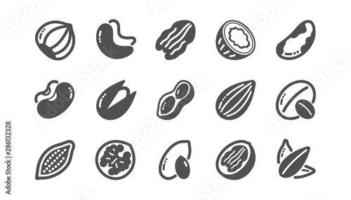 Nuts and seeds icons. Hazelnut, Almond nut and Peanut. Sunflower seeds, Brazil nut, Pistachio icons. Walnut, Coconut and Cashew nuts. Classic set. Quality set. Vector