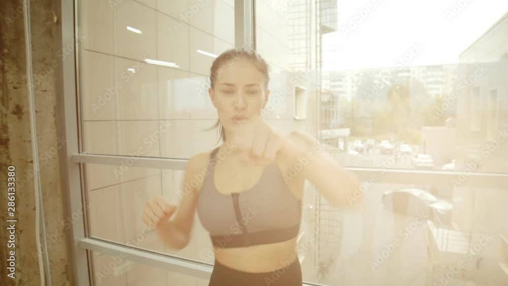 An athletic woman boxer standing by the window and boxing to the camera - bright sunlight An athletic woman boxer standing by the window and boxing to the camera - bright sunlight