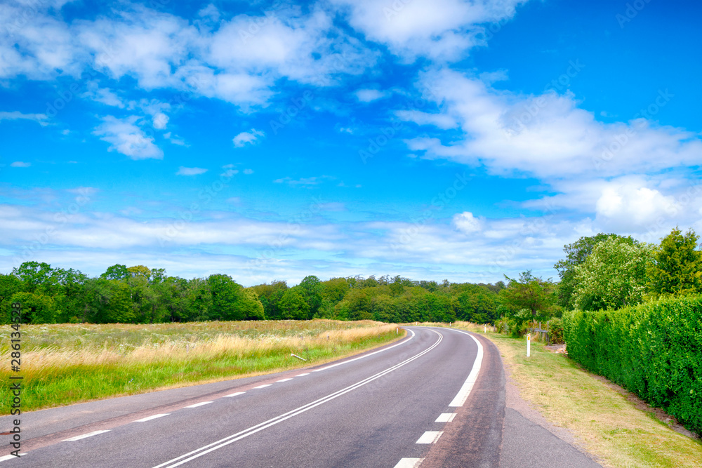 Curvy road under a blue sky in the summer Curvy road under a blue sky in the summer