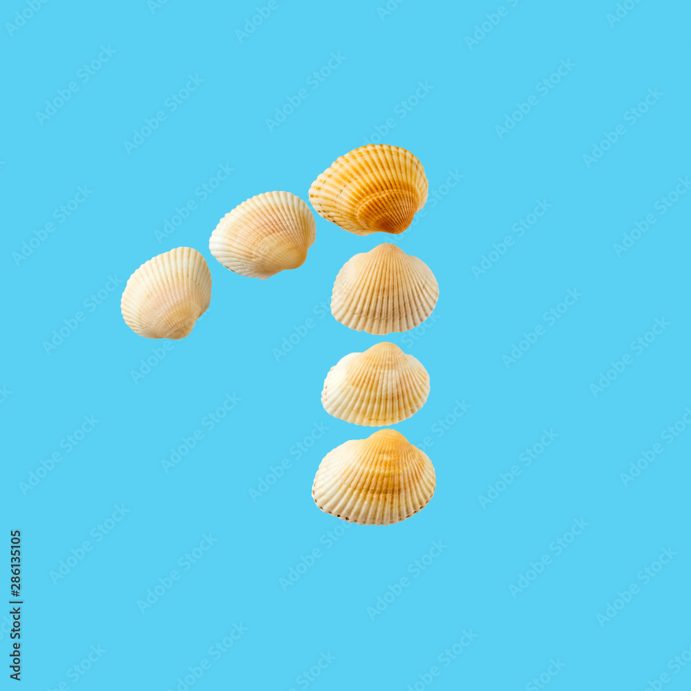 Number one from sea shells isolated on tender light blue background