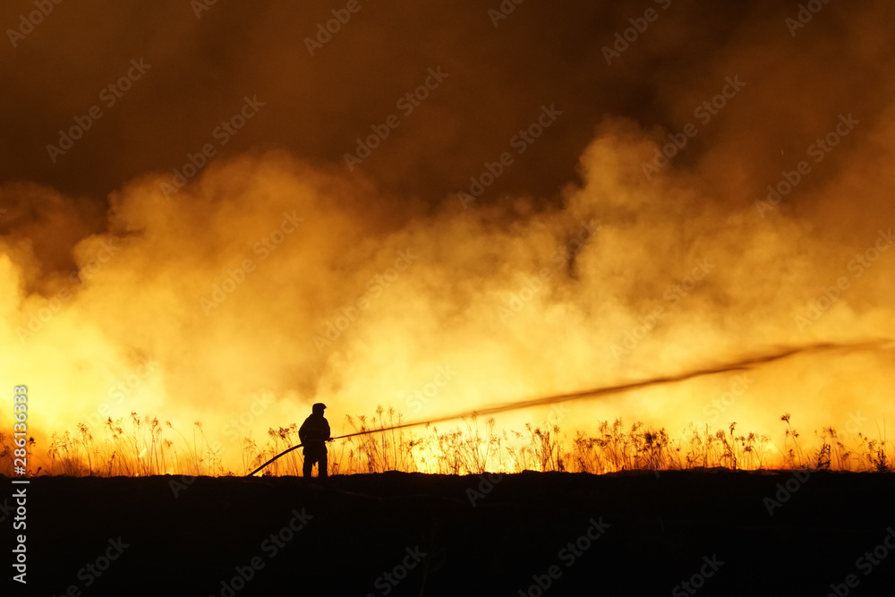 Fototapeta premium Silhouette of fireman fighting bushfire at night, man against the fire.