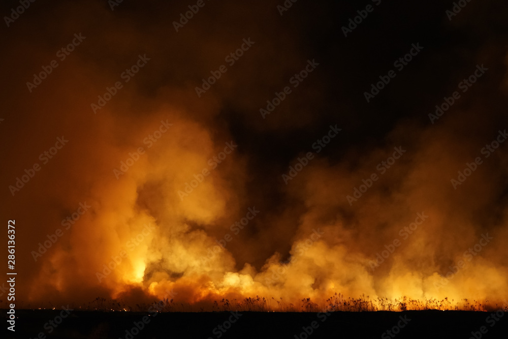 Massive forest fire at night, terrific view and background
