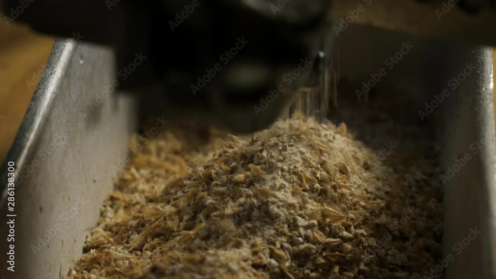 Close-up and slow-motion shot of barley malt ground in a mill during home brewing of craft beer Close-up and slow-motion shot of barley malt ground in a mill during home brewing of craft beer