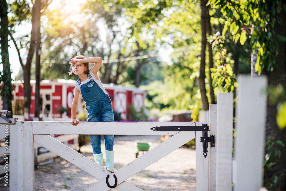 A portrait of small girl on family farm, standing by wooden gate. A portrait of small girl on family farm, standing by wooden gate.