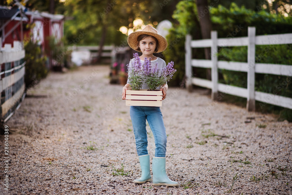 Obraz premium A front view of small girl standing outdoors on family farm, holding plants.
