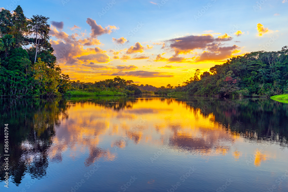 A magic sunset in the Amazon Rainforest inside Yasuni national park. The Amazon rainforest comprise the countries of Ecuador, Peru, Bolivia, Brazil, Colombia, Suriname, Venezuela, French Guyana.