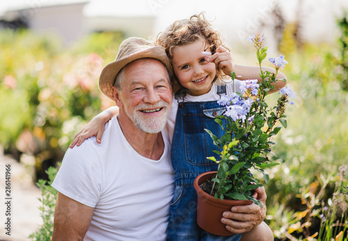 Billede på lærred Portrait of small girl with senior grandfather in the backyard garden, standing