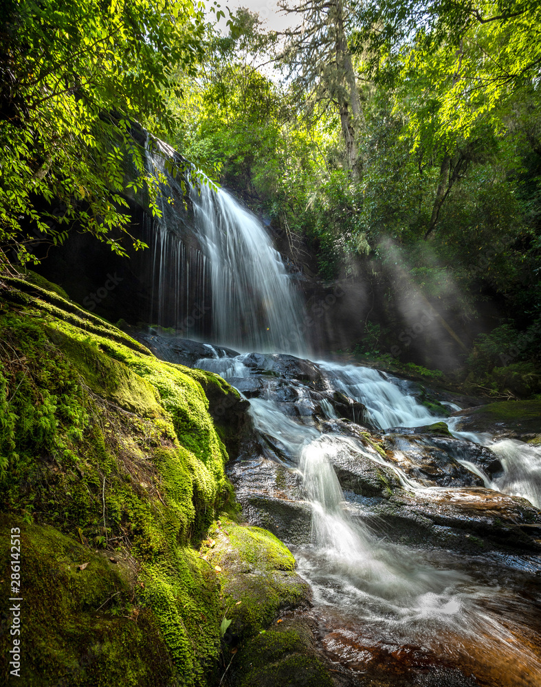 Fototapeta premium Marzycielski wodospad w zachodniej Karolinie Północnej