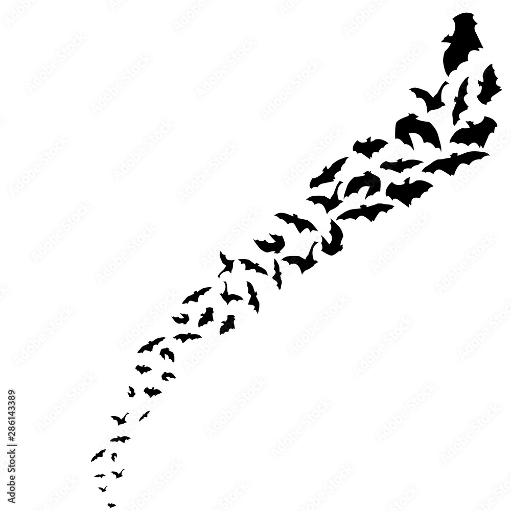 Flying Bat silhouette Halloween concept Flying Bat silhouette Halloween concept