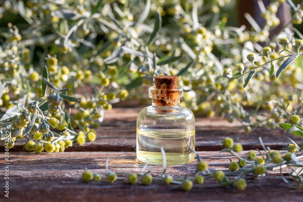 A bottle of essential oil with blooming wormwood plant A bottle of essential oil with blooming wormwood plant
