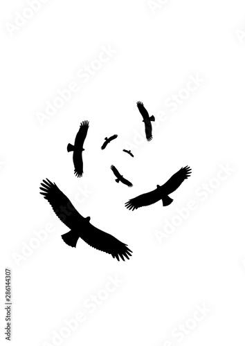 Vögel fliegen kreisen Vogel am Himmel Silhouette Vektor Grafik