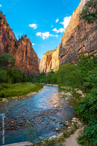 The beautiful views of the Zion national park canyon. United States, vertical photo