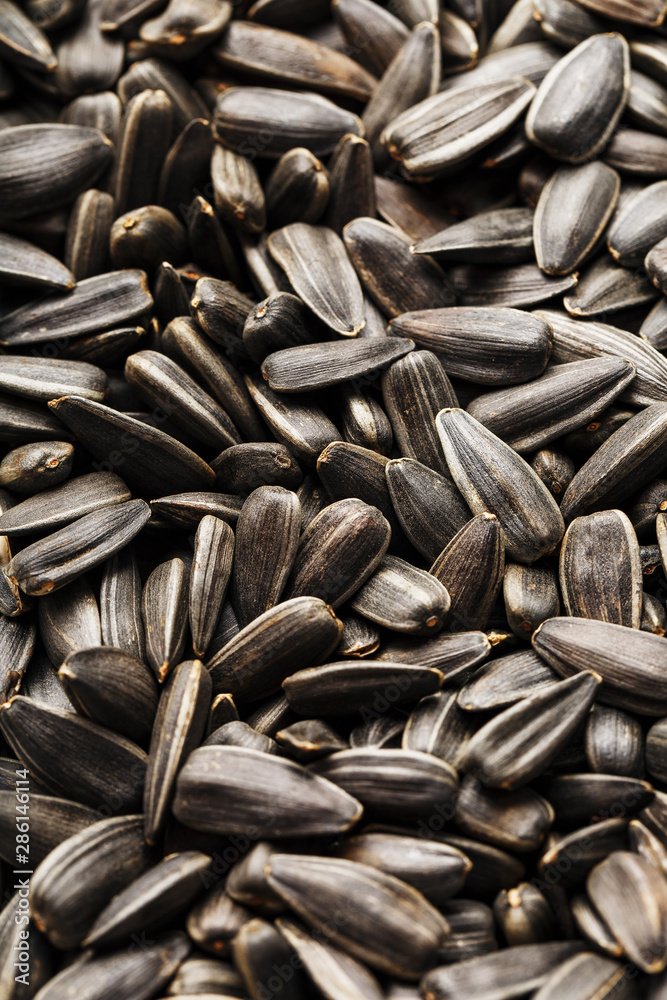Seeds in a black shell as a background and texture, high detail. In full screen. Seeds in a black shell as a background and texture, high detail. In full screen.