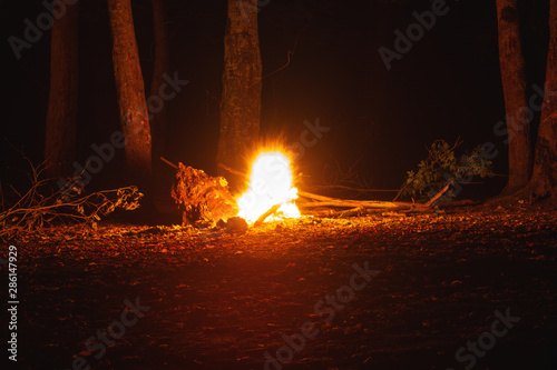 bonfire in the dark night forest