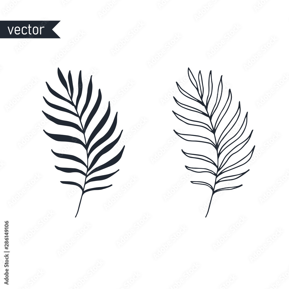 Palm branch contour and shape isolated on white background, vector illustration.