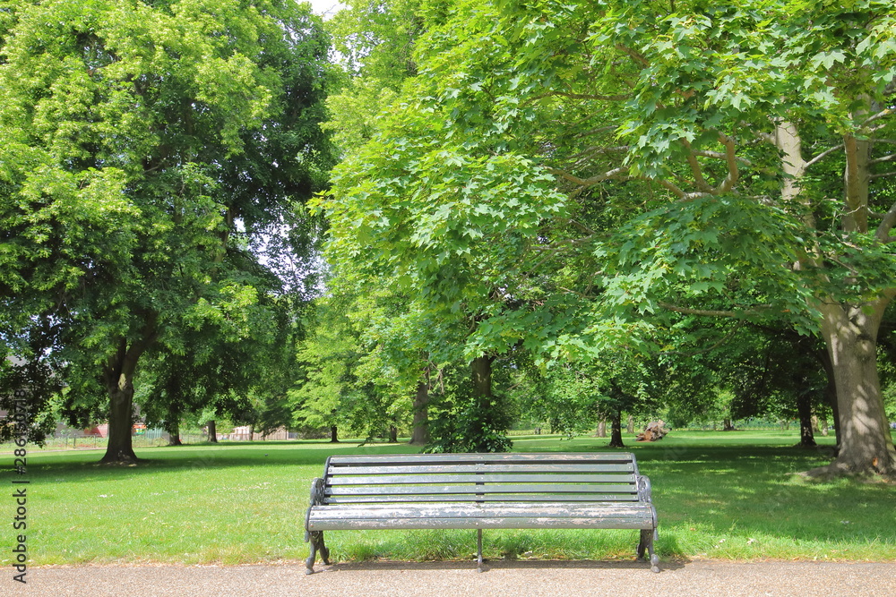 Bench chair in park nature background Bench chair in park nature background