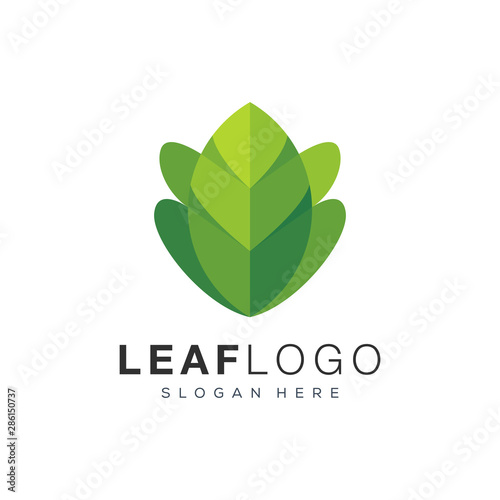 leaf logo design vector illustration