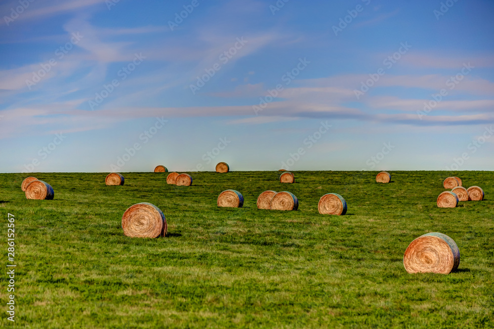 Hay bales in the rural Alberta countryside