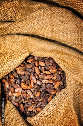 Close up of natural Chocolate beans in the sack on display.Background image with blank space. © Evaldas