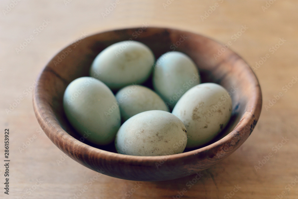 Close up of duck eggs in bowl Close up of duck eggs in bowl
