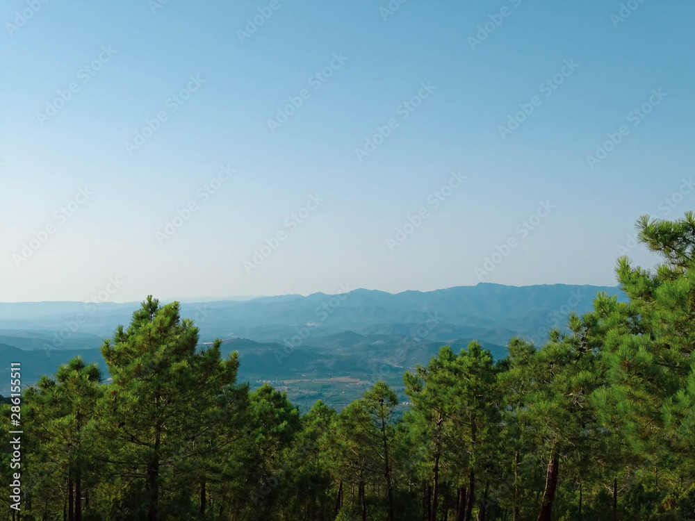 landscape with  trees and blue sky