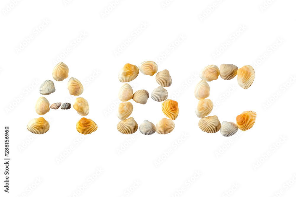 Word ABC composed of seashells isolated on white background Word ABC composed of seashells isolated on white background