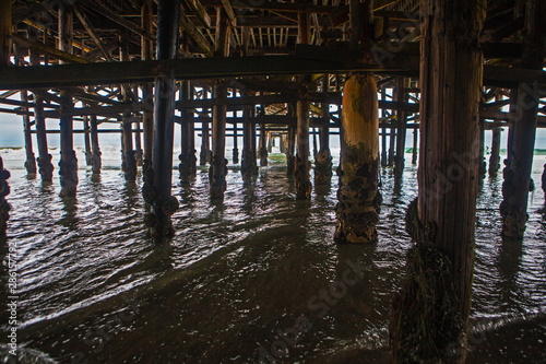 Wallpaper Mural crystal pier san diego Torontodigital.ca