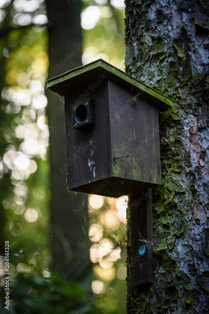 Wooden birdhouse hanging on a tree background Wooden birdhouse hanging on a tree background