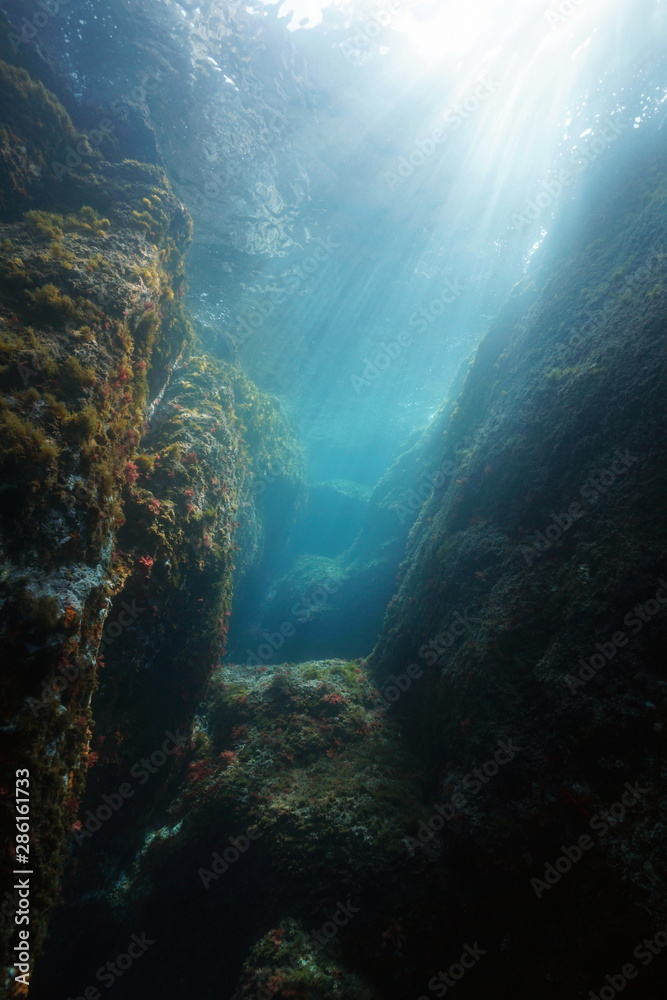Fototapeta premium Rocks and natural sunlight underwater in the Mediterranean sea, Spain, Costa Brava