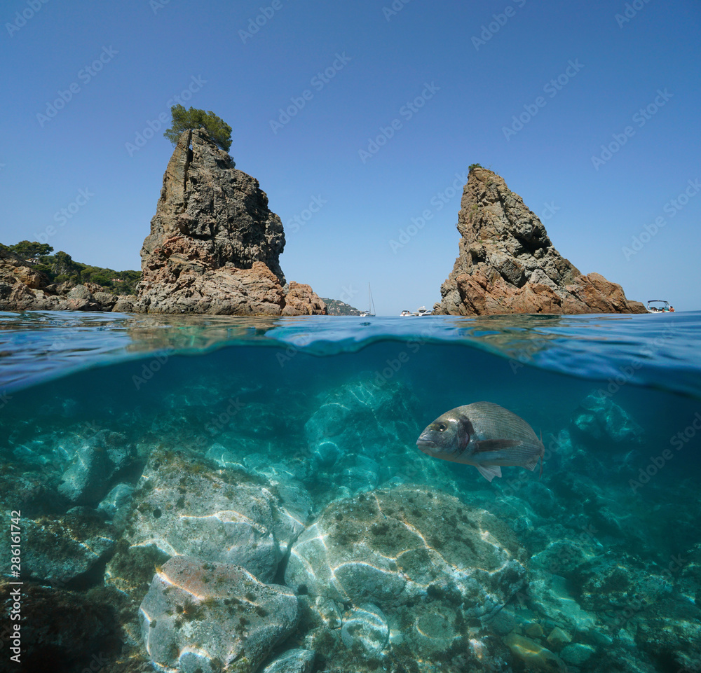 Rocky islets with a gilt-head bream fish and rocks underwater, Mediterranean sea, Spain, Costa Brava, Catalonia, Calella de Palafrugell, split view half over and under water