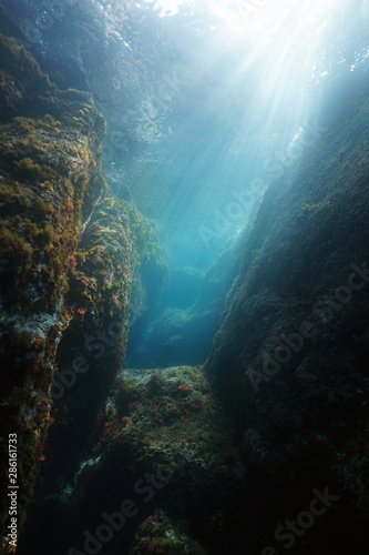 Rocks and natural sunlight underwater in the Mediterranean sea, Spain, Costa Brava