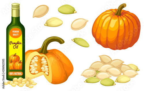 Set pumpkin oil, seeds and leaf. Isolated vector illustration on white background.