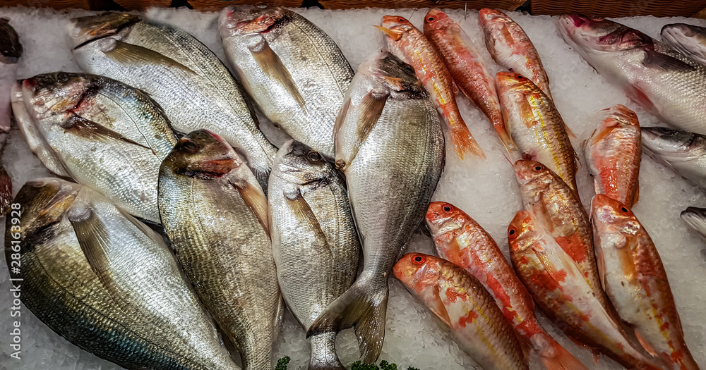 Freshly caught gilt-head breams and striped red mullets on ice for sale at fish market