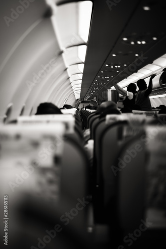 passenger in plane