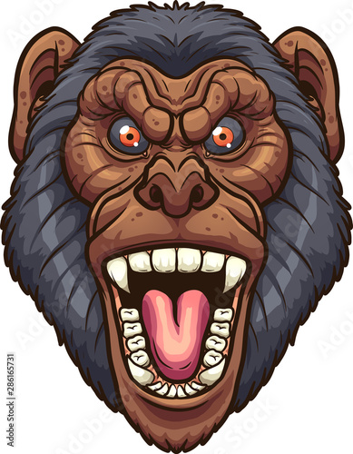 Angry screaming chimpanzee front view head clip art. Vector illustration with simple gradients. All in a single layer. 