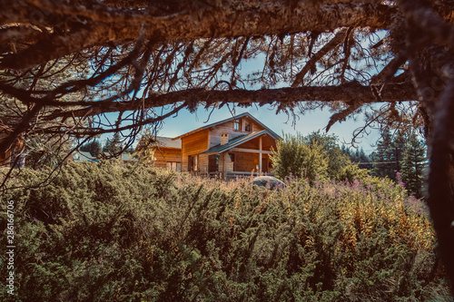 old house in the forest
